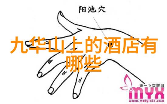 重庆旅游攻略探索璀璨星辰之都的奇迹与魅力