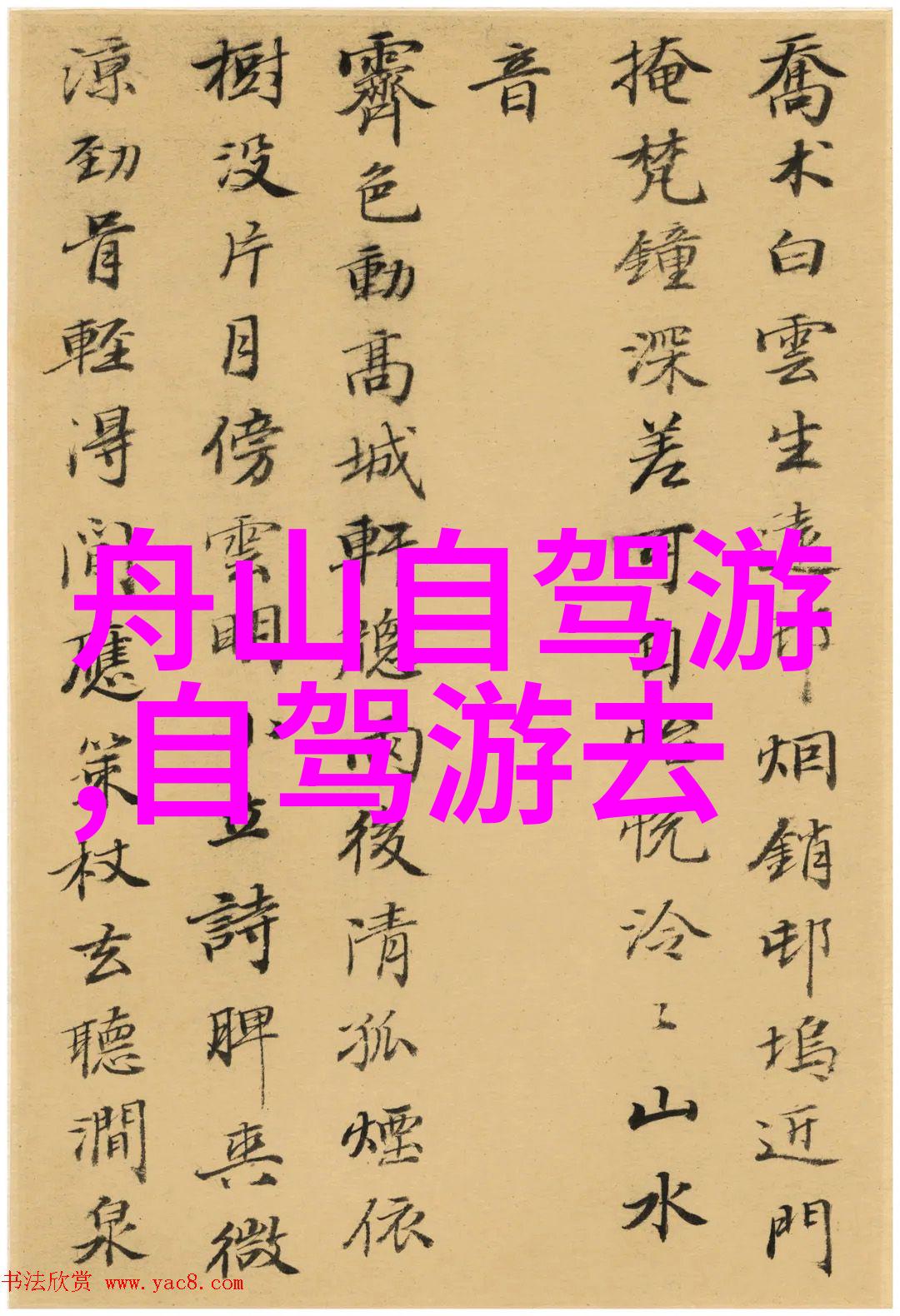 为什么我们应该选择当地导游来深入了解云南省文化特色