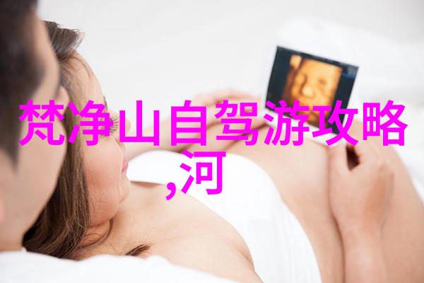 为什么新西兰成为了全球游客的热门选择