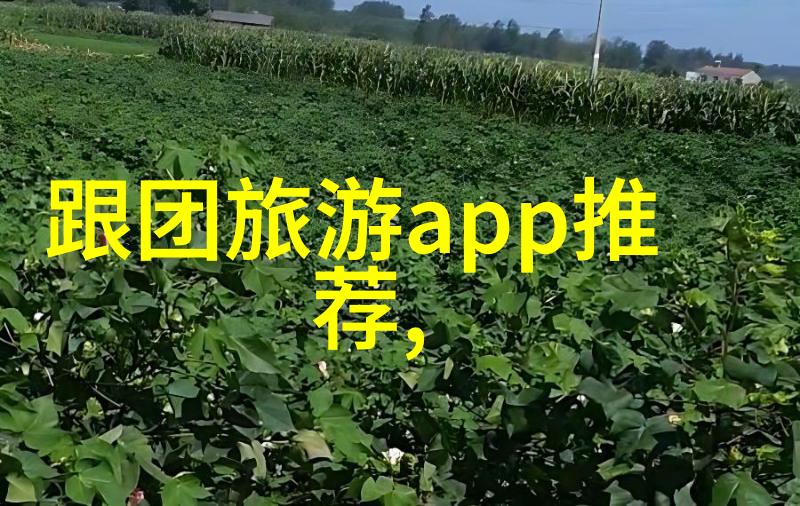 公园游乐设备我为什么总是被这几个游乐设备吸引