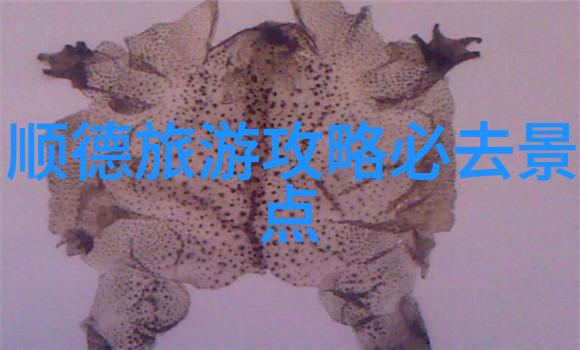 地球之美壮阔的自然风光与人文景观