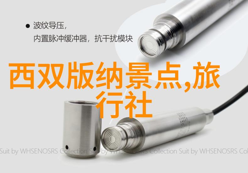 探秘上海周边哪些隐藏角落等着你的发现