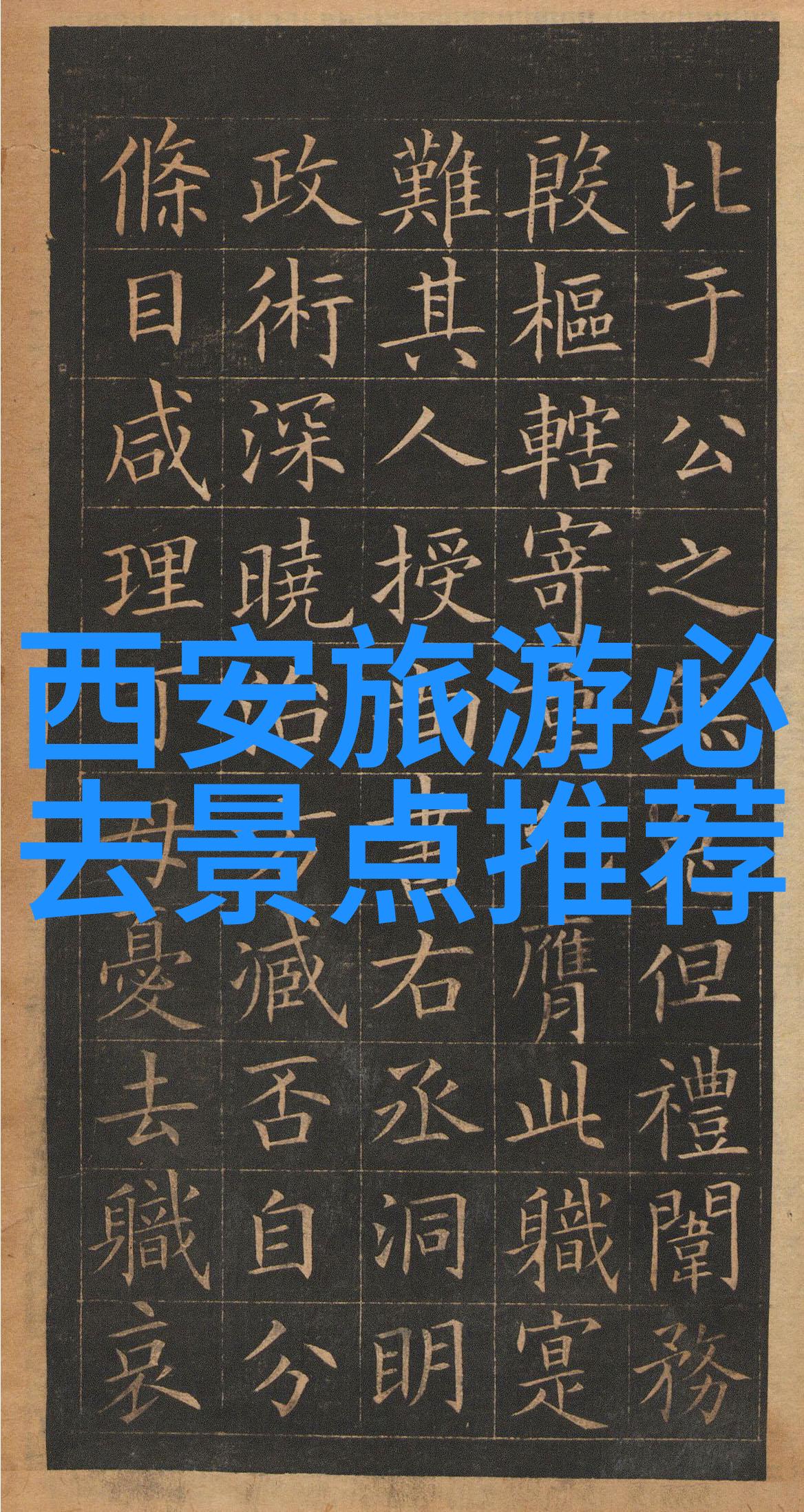夏日户外大冒险让我们一起汗流浃背笑到肚子疼