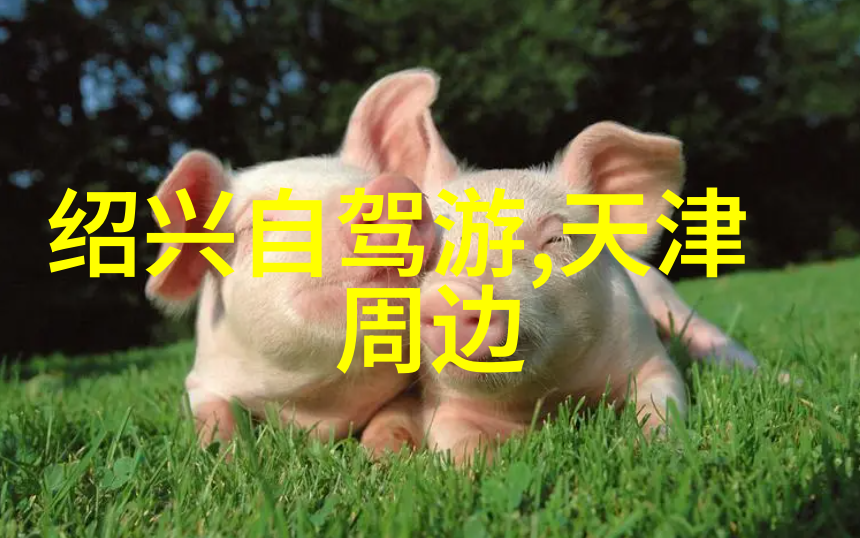 春雨中的独唱
