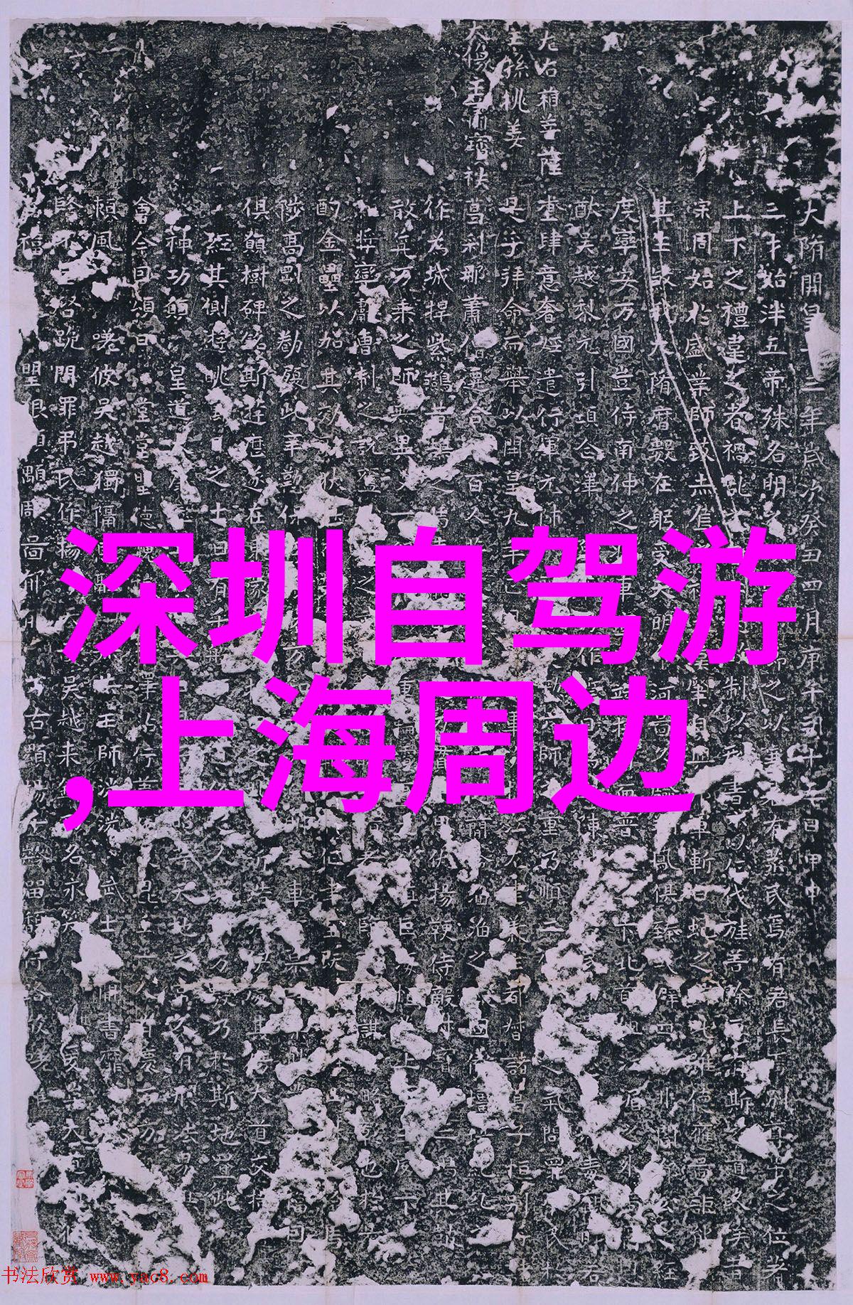 浙江绍兴的鱼头酱油清淡出奇却不失滋味无穷