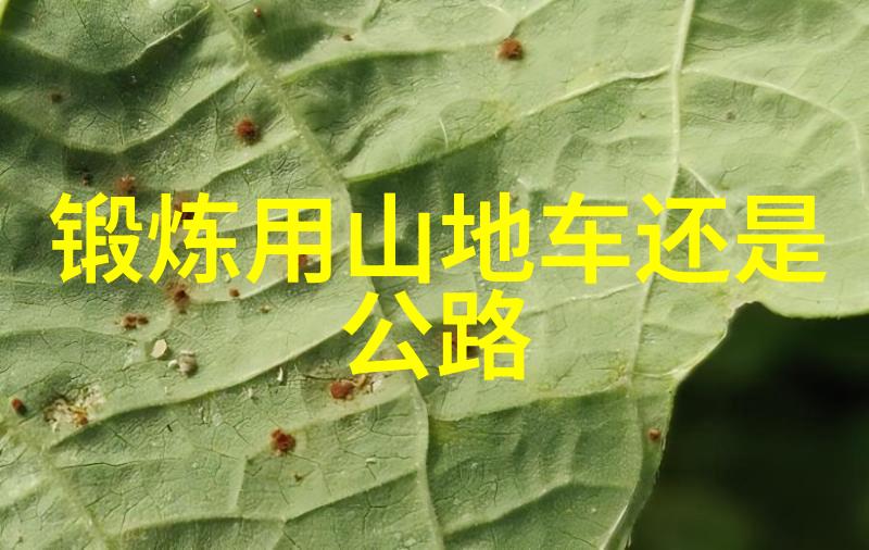 拜吐拉清真寺宣礼塔
