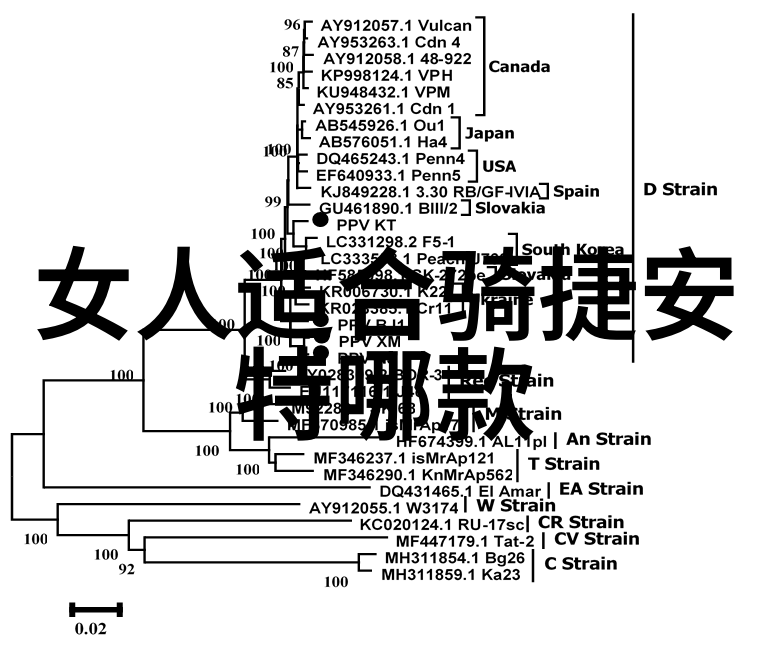不堪言揭秘隐秘的痛苦与解脱之路
