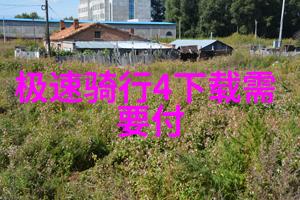 碧波荡漾轮廓悠扬关于骑行的唯美句子
