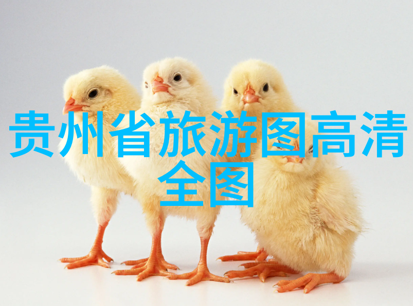 携程网页版官网深圳到香港最方便的出行方式