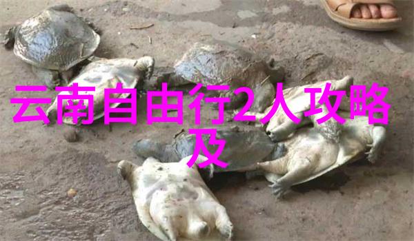 丽江大理-风华古城与自然美景的交响诗
