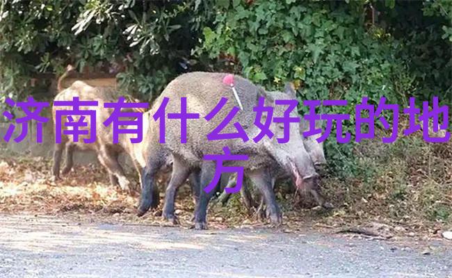携程旅行大师轻松下载安装开启旅途新篇章