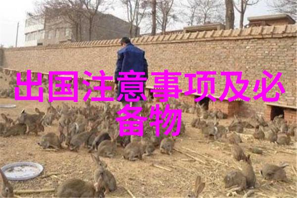京城美食之旅探索四合院里的点心世界