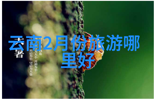 出国旅游-选择适合您的出国目的地一览世界各国的魅力