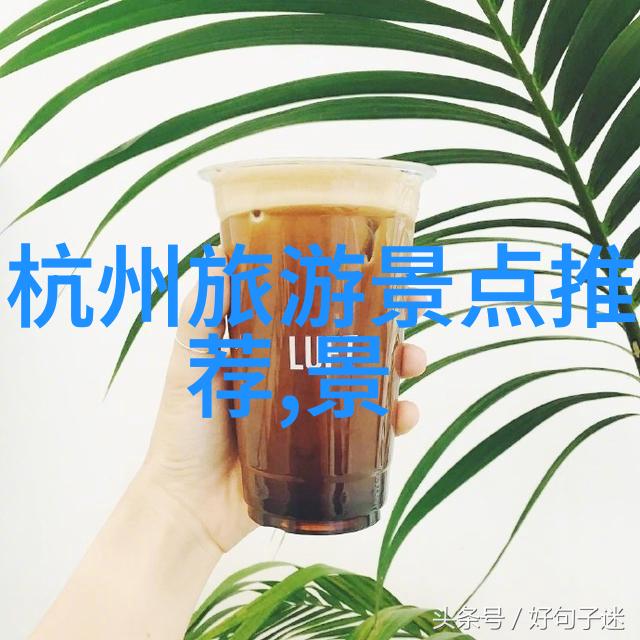 万亩葵园