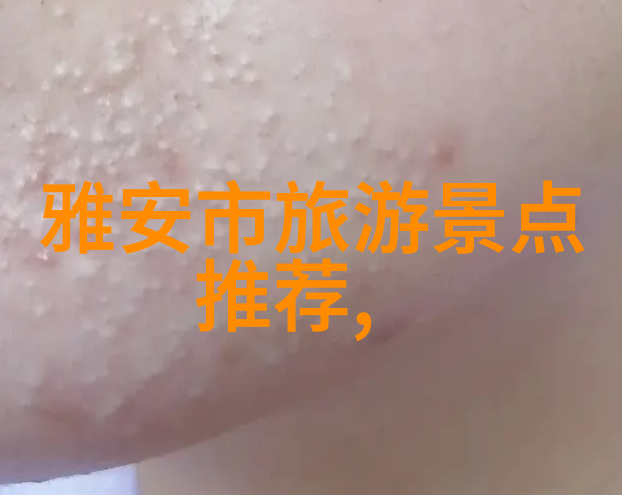 保时捷掀起电动风潮收购Greyp多数股权体验每天26公里骑行的活力变革