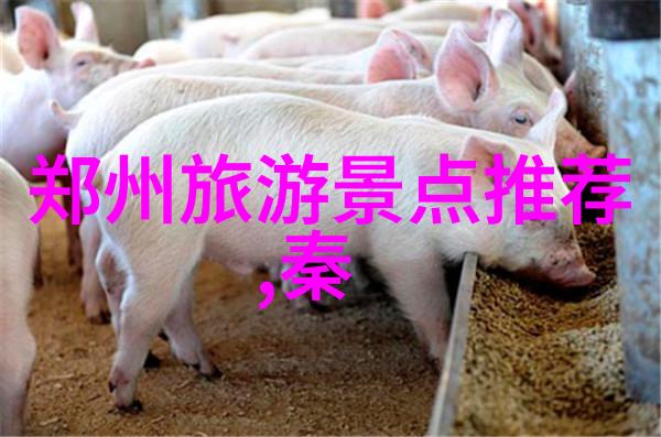 世界十大著名旅游胜地巴黎艾菲尔铁塔罗马古罗马广场纽约中央公园悉尼歌剧院巴厘岛乌布