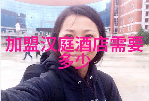 征服四国的荣耀胜者为王4的史诗旅程