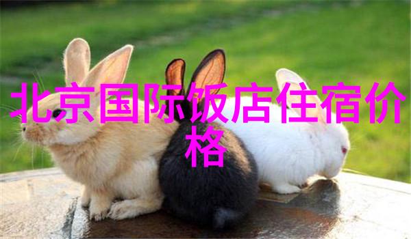 出国必备安全行李清单与旅行注意事项