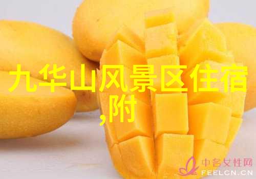 苏州景点推荐我眼中的苏州美从拙政园到平江路的趣味之旅