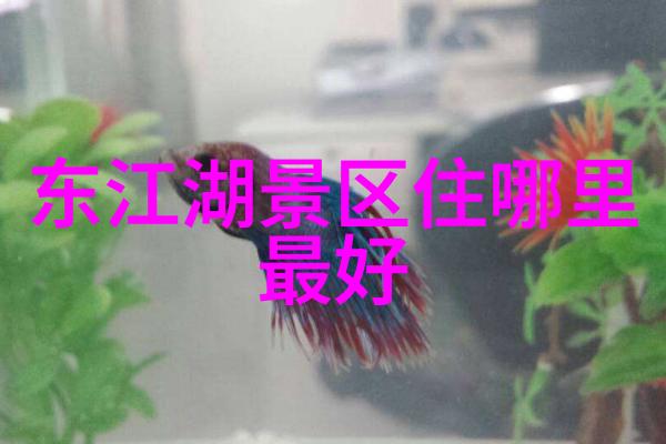 国内著名旅游城市我国最美的秘密揭秘那些不为人知的旅行天堂