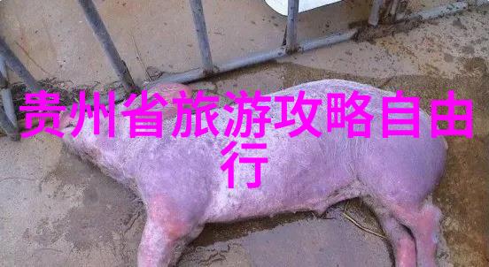 秦皇岛旅行指南探索海滨风情与历史遗迹