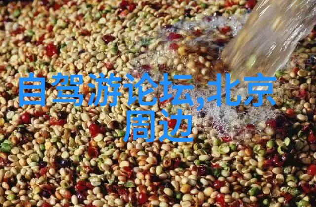 扬州美食之都探索江南古城的最佳住宿与游览攻略