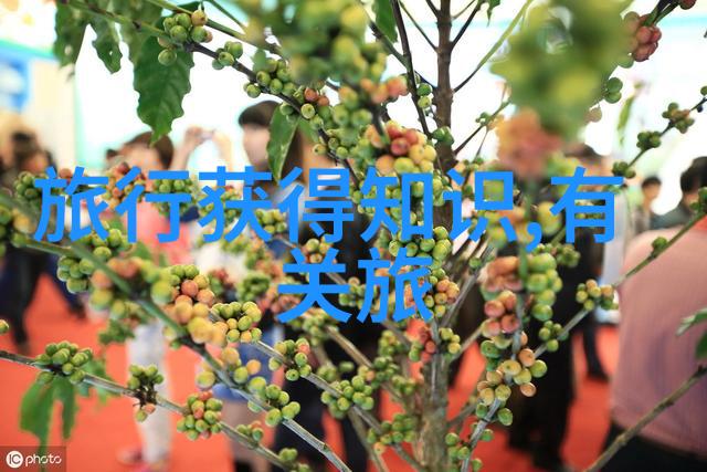 中国人在俄罗斯好混吗我是如何发现俄罗斯生活超级惬意的