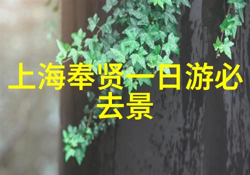 高速出入口巧景观成新旅游热点社会工程