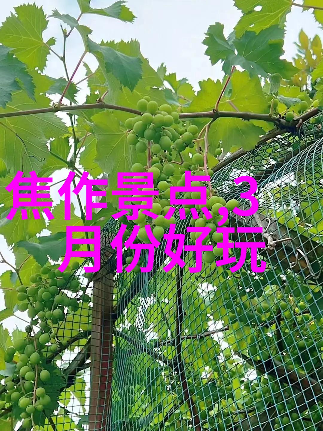 穿成反派崽崽的亲妈-逆袭之我成为强大反派的母亲