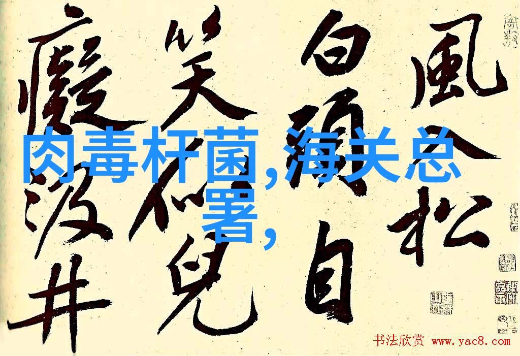 探索甘南美景宁夏古城风情与自然奇观的双重魅力