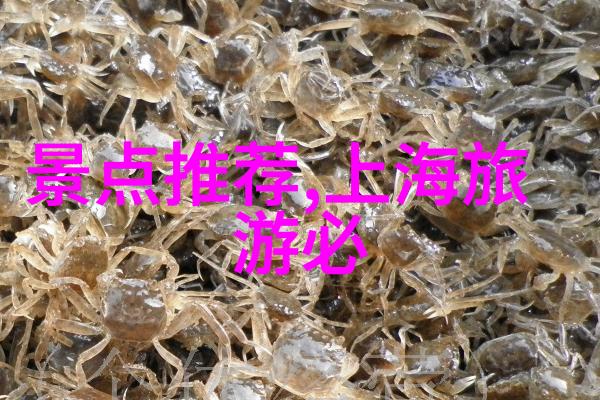 西域奇迹探秘青藏高原的神秘风光