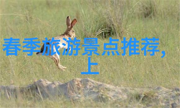 小学生活的新篇章一份百篇户外观察日记
