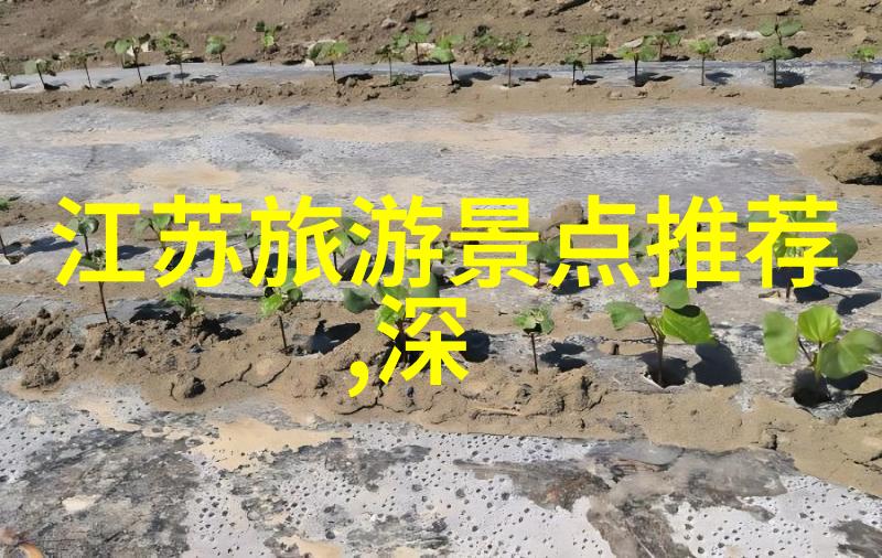 探秘中国3D虚拟旅游app让你笑翻天