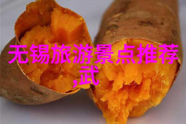 潜江春光如画同程旅行带你绘卷花园
