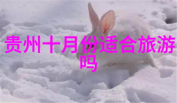 俄罗斯Zoom人与Zoom牛跨越国界的友谊与冒险