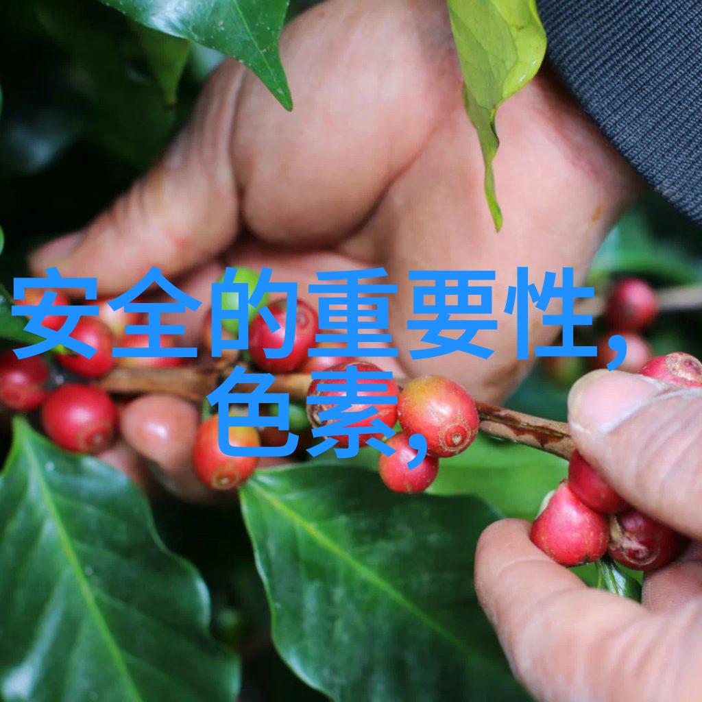 中国美丽山水自驾游景点推荐探索大自然的艺术之美