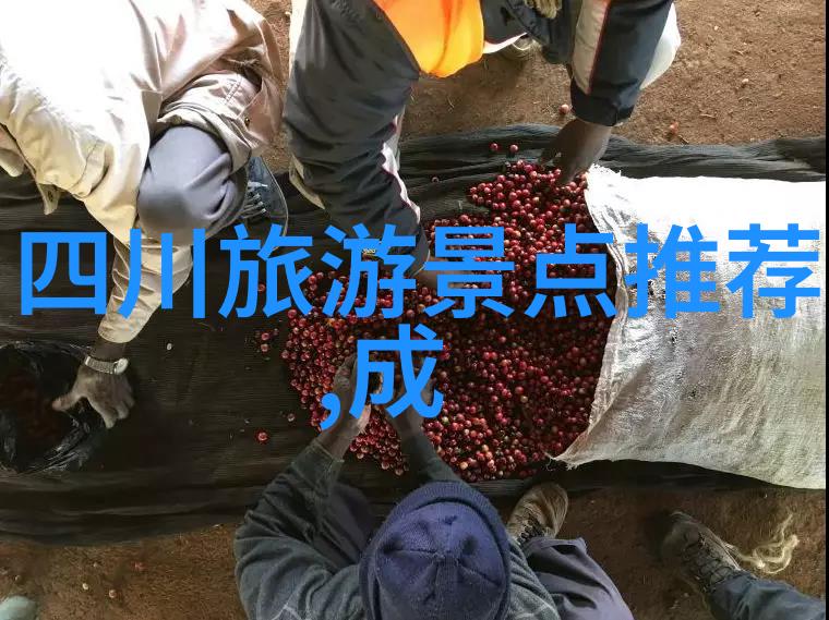 揭秘温州赏花胜地哪些名为春天诗篇的旅游公司能带你走进花海