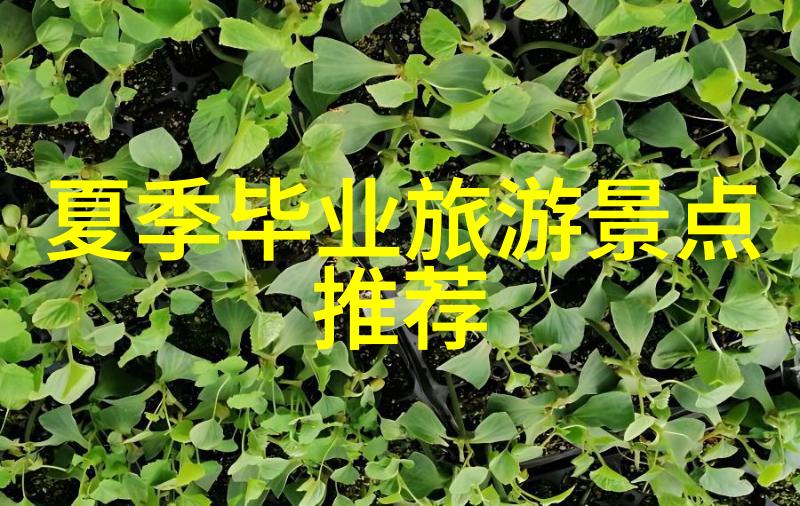 云南3天游2人如何花费