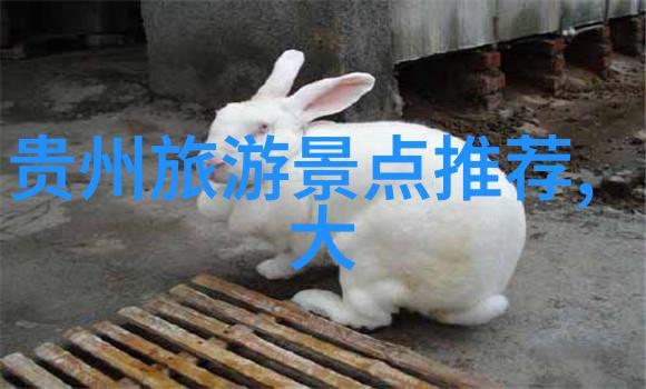 小班户外活动教案100个来吧我们一起探索自然的奥秘