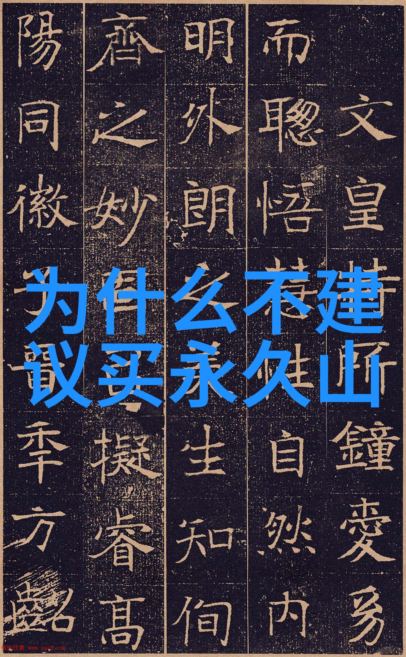 自由之翼大行自行车骑行论坛的轮回篇章