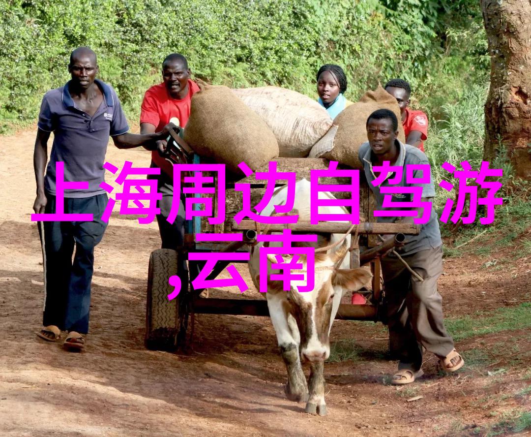 青春的足迹第三季之旅