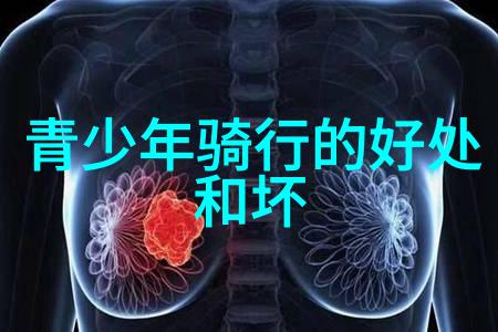 九华山脚下隐逸之选探秘那些温馨酒店