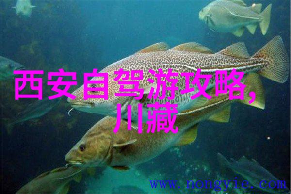 探索台湾美丽精选旅游线路指南