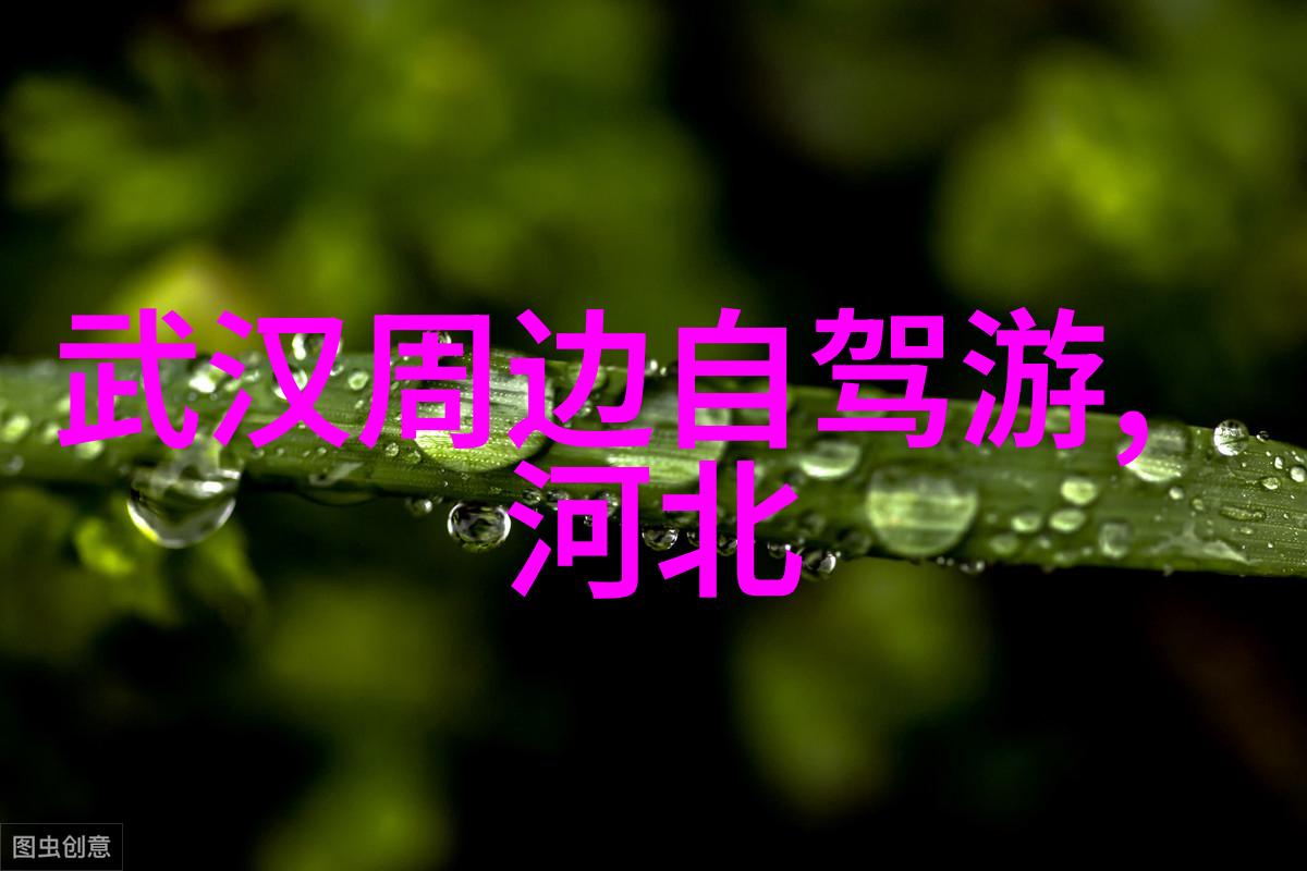 太华伽罗乳液完美护肤的选择