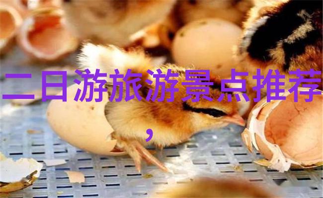 俄罗斯10日游之旅探索红场与莫斯科的魅力