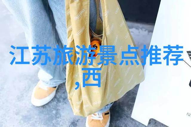 冰封大陆上的热情追逐南极探险记