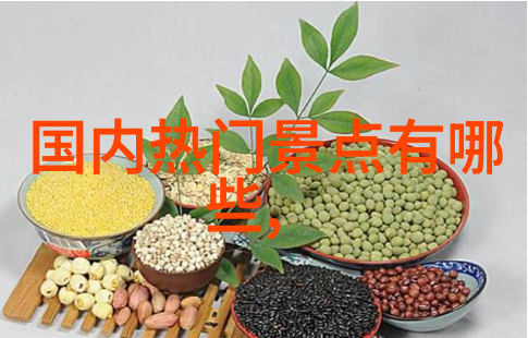四年级游记从课本到梦想之旅的反差篇