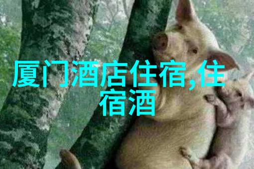 大理洱海有哪些比较好的客栈就是可以看海景的那种