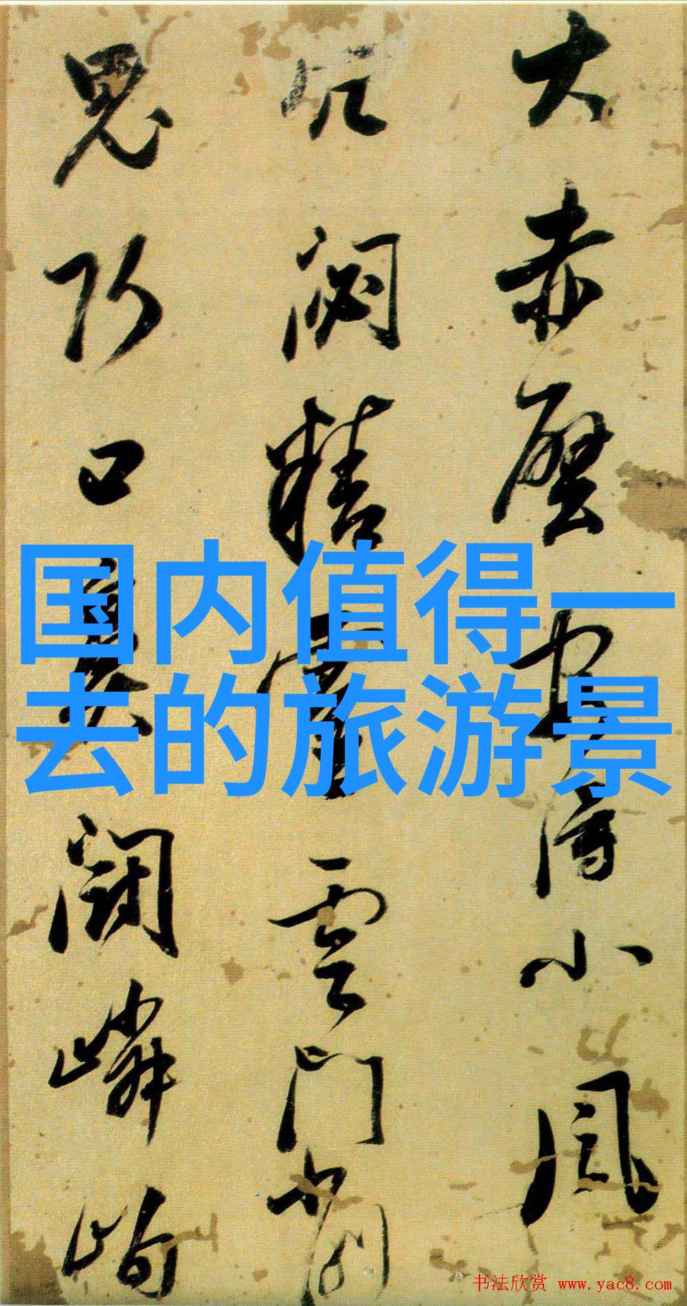 骑行减肥效果如何揭秘自行车瘦身之道