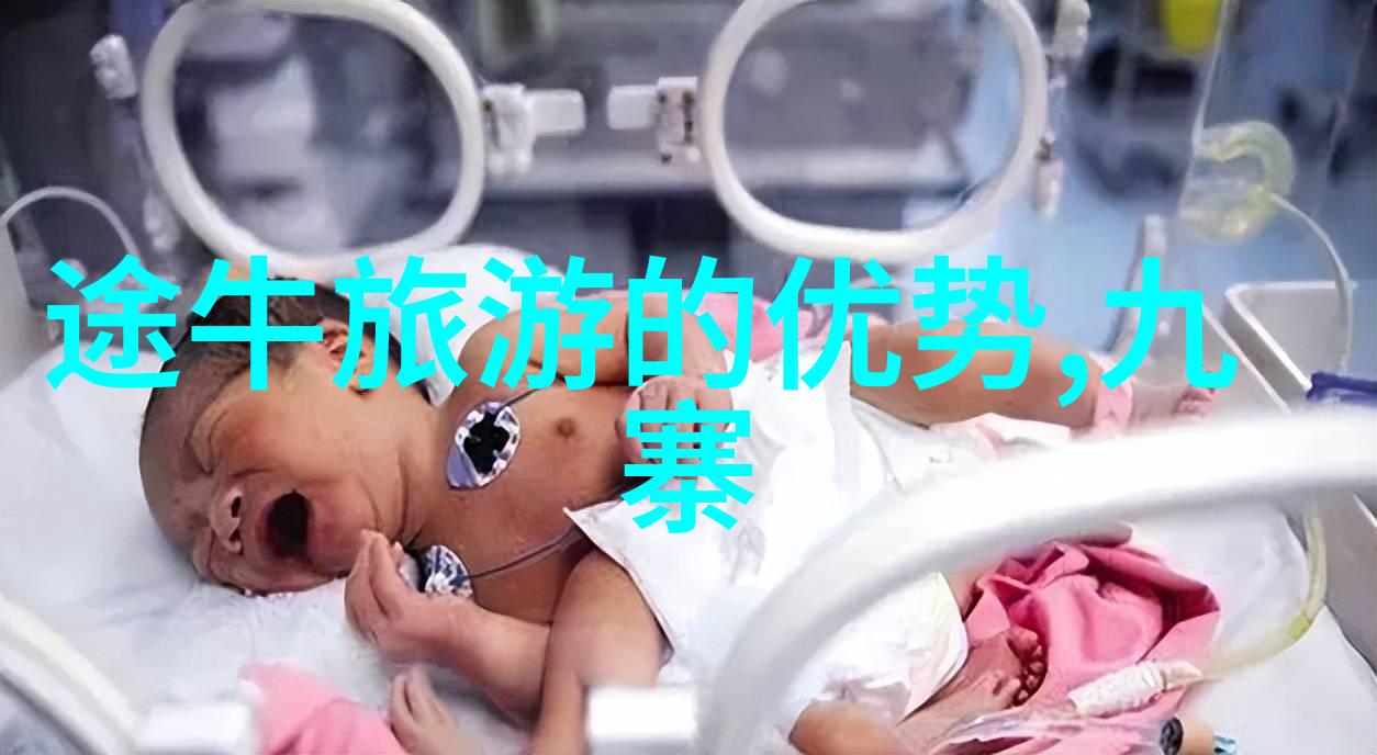 云南旅游十大线路探秘自然之冠的隐秘胜地